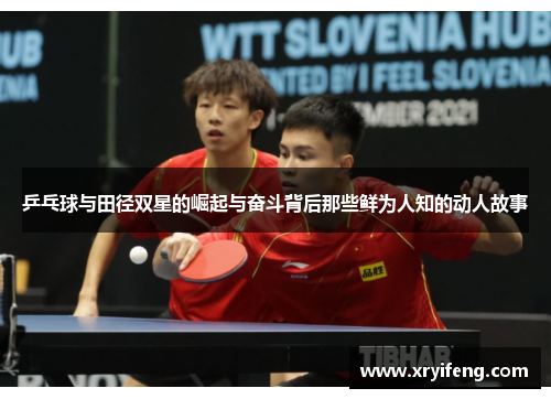 乒乓球与田径双星的崛起与奋斗背后那些鲜为人知的动人故事