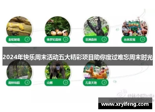 2024年快乐周末活动五大精彩项目助你度过难忘周末时光