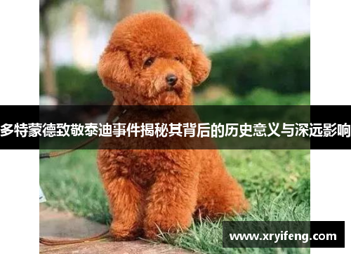 多特蒙德致敬泰迪事件揭秘其背后的历史意义与深远影响