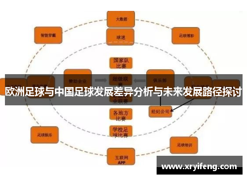 欧洲足球与中国足球发展差异分析与未来发展路径探讨